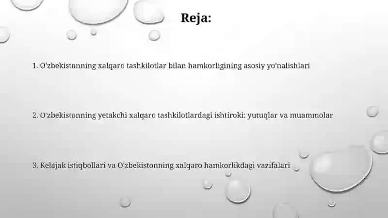 O'zbekistonning xalqaro tashkilotlar bilan hamkorlik aloqalari 2