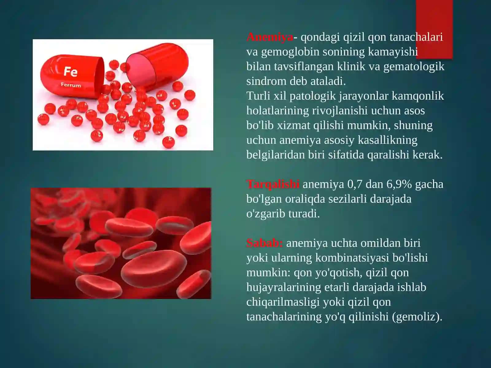 Temir tanqisligi anemiyasi 2