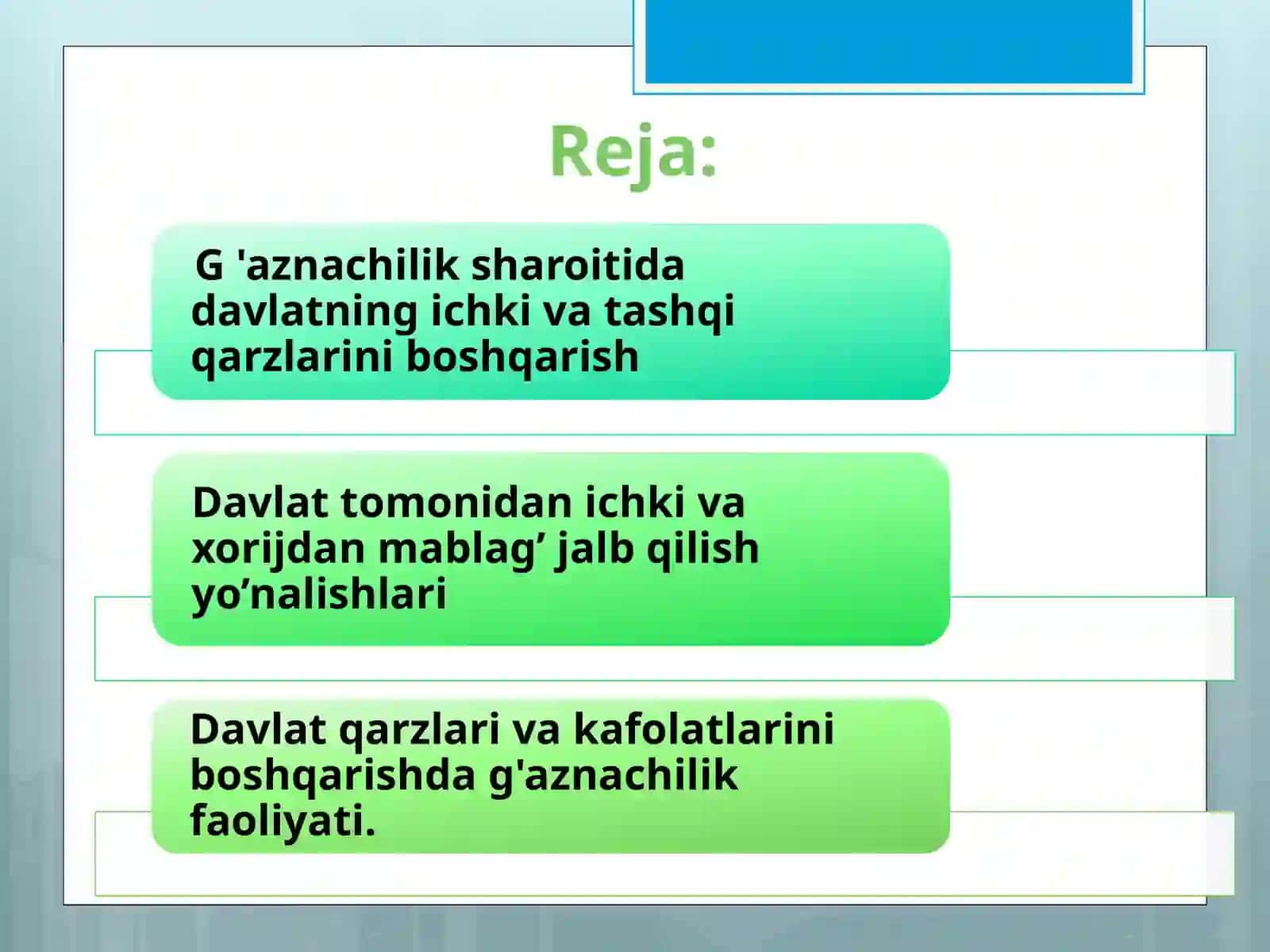 G‘AZNACHILIKDA DAVLAT KAFOLATLARINI TA’MINLASH 2