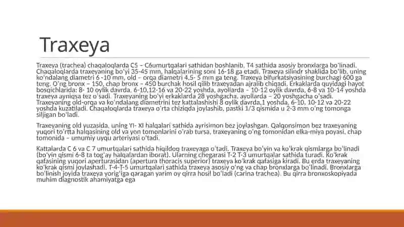 Traxeya,broxvao’pkaninganatomik-fiziologikxususiyatlari 2