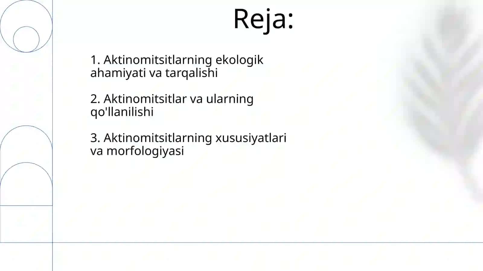 Aktinomitsetlar va ularga yaqin organizmlar 2