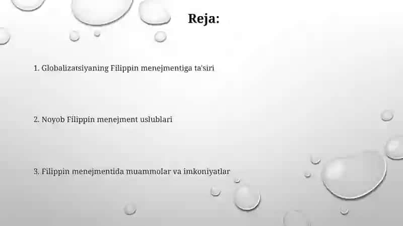 Filippin Menijment Sohasi Boʻyicha 2