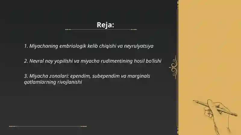 Miyachaning rivojlanish anatomiyasi 2