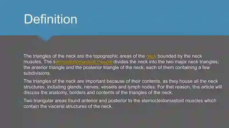 Triangles of neck anatomy 2