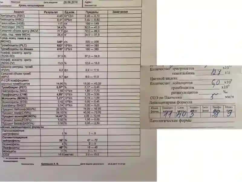 Норма анализа крови 2