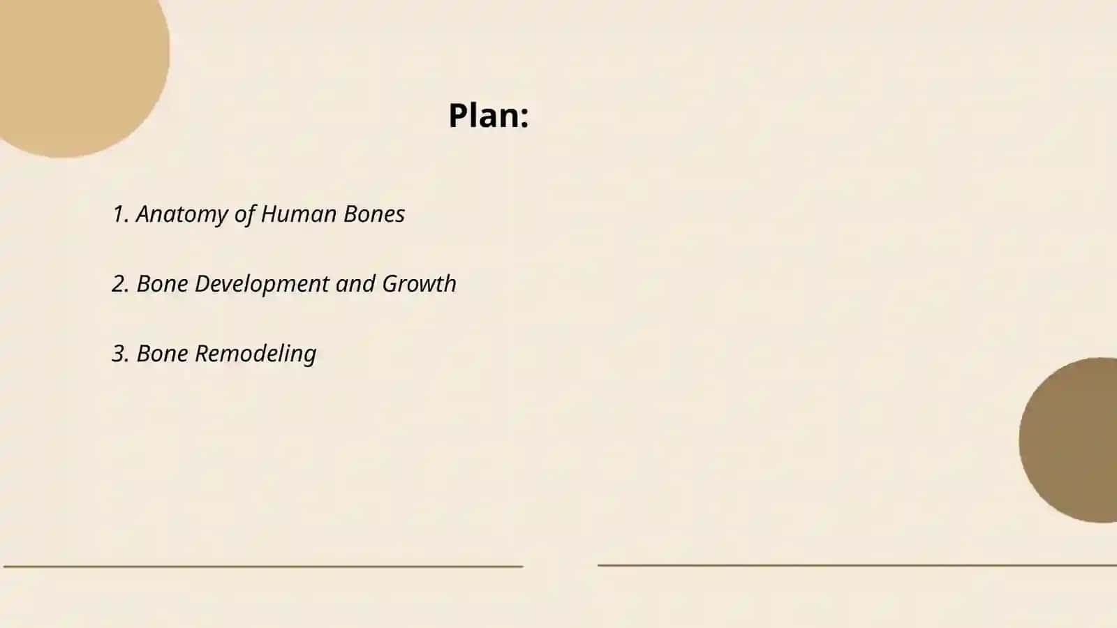 Bones 2