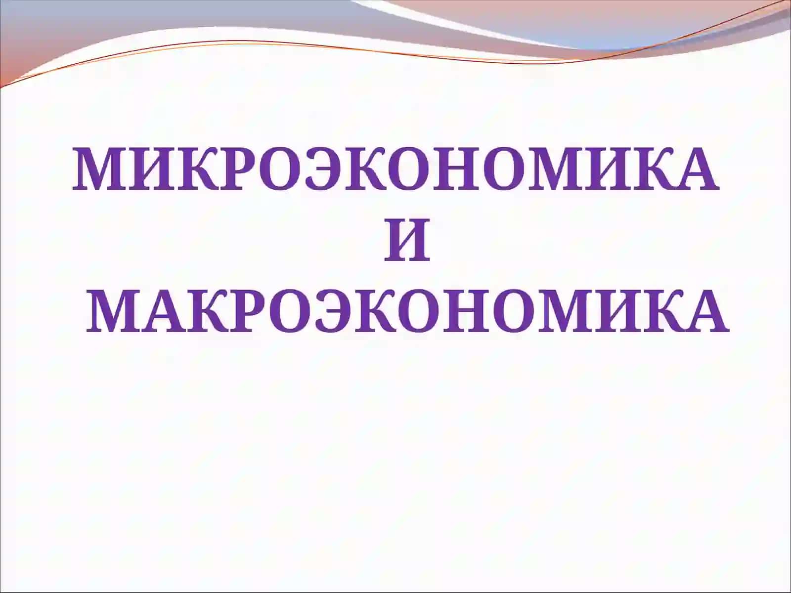 МИКРОЭКОНОМИКА И МАКРОЭКОНОМИКА 2