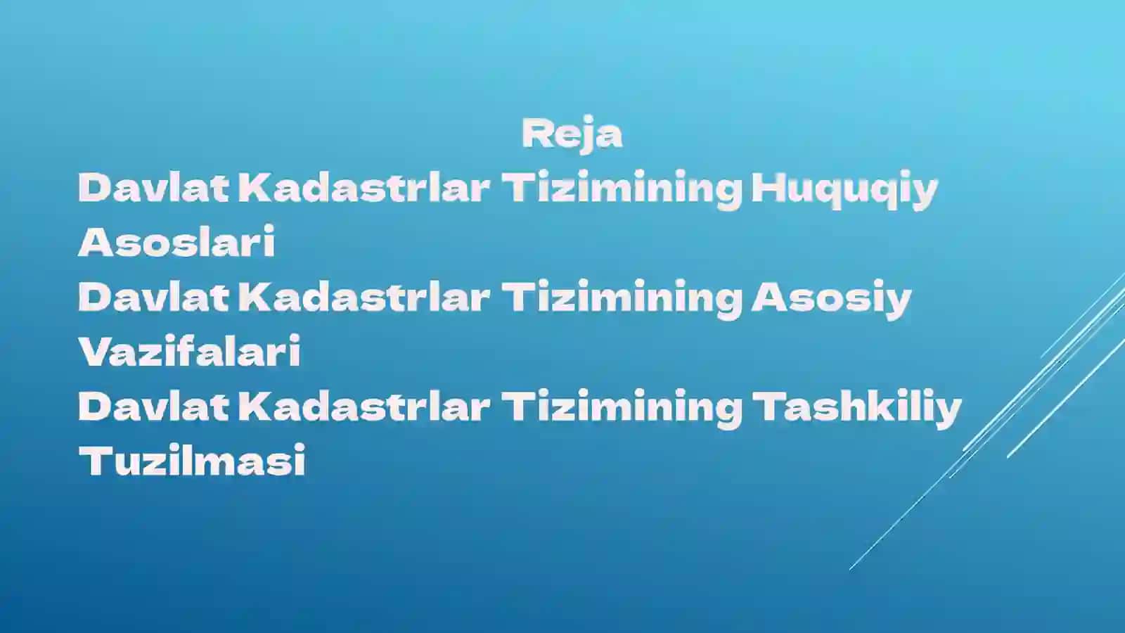 DavlatKadastrlarTiziminiyuritish 2