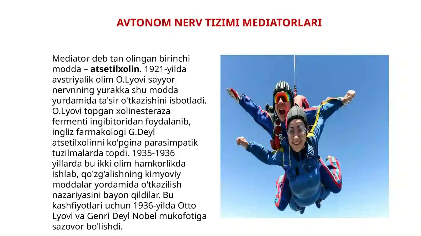 vegetativ nerv sistemasi fizologiyasi pptx 2
