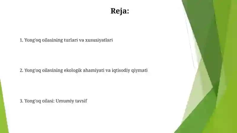 Yongʻoqdoshlar oilasi 2
