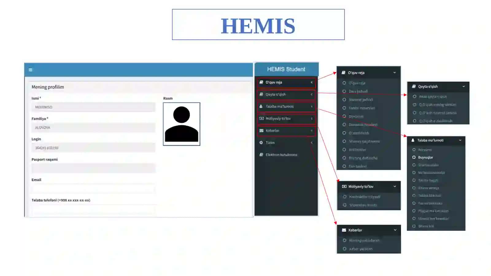 HEMIS 2