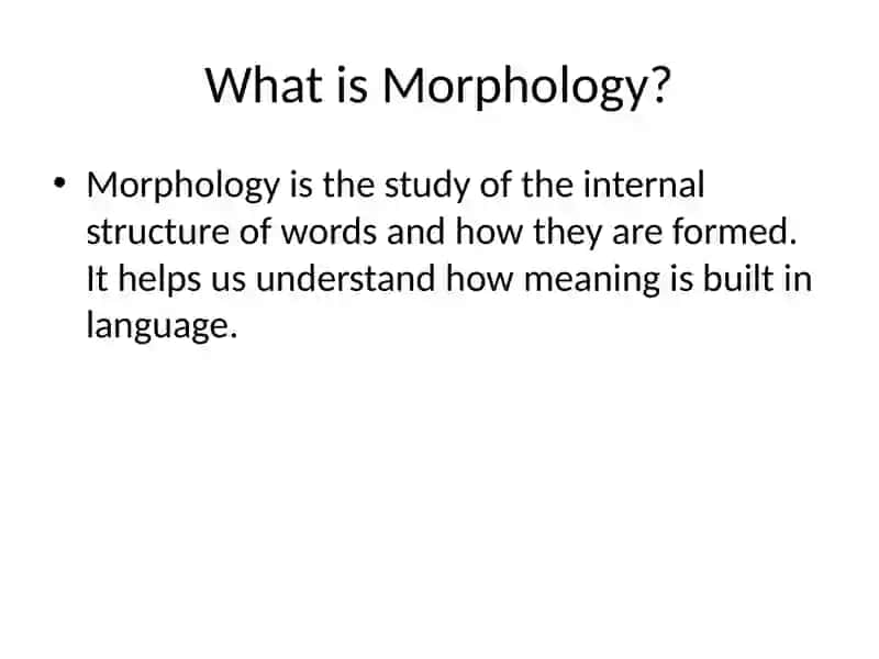 The Morphological Structure of English 2