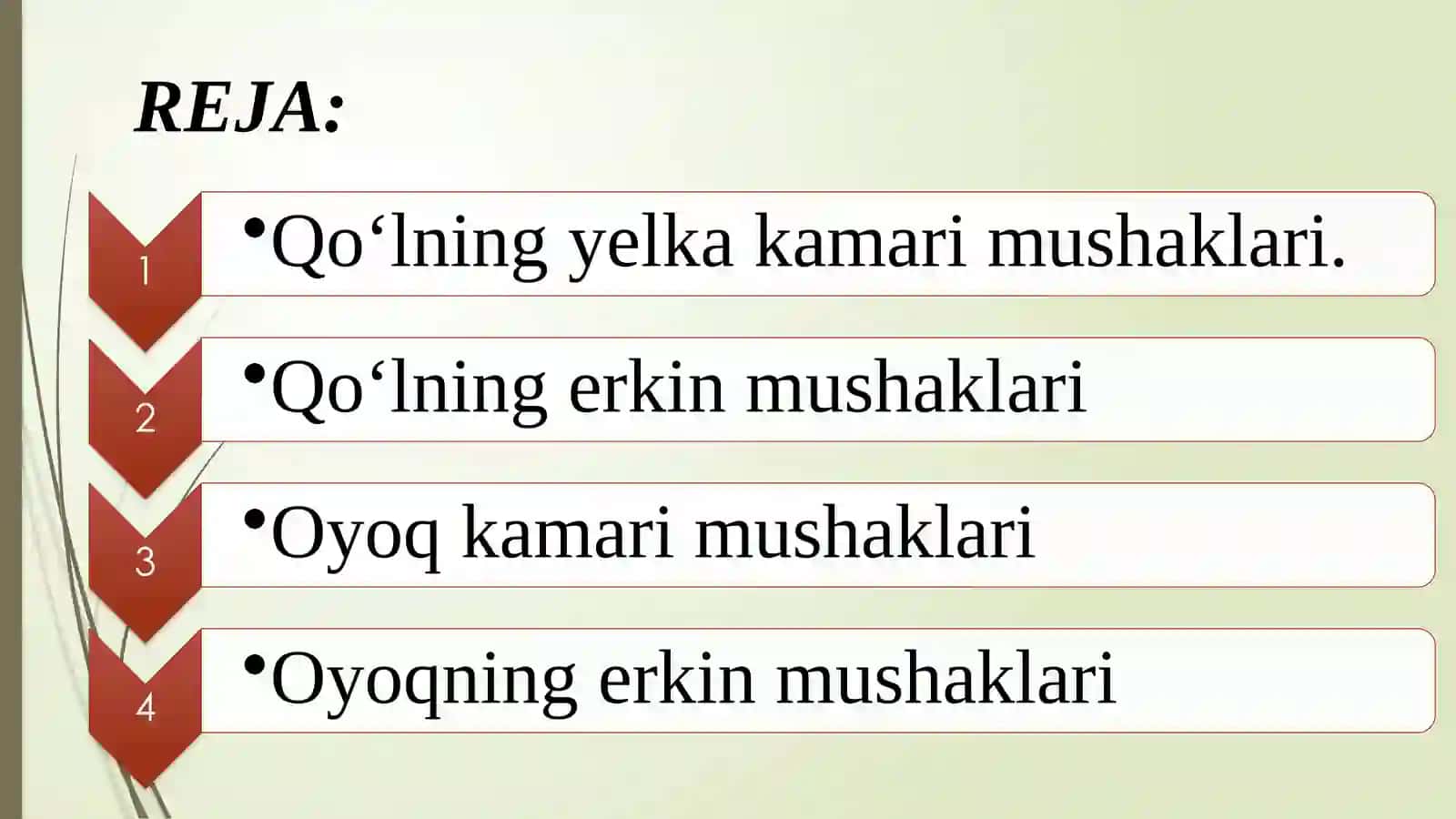 QO‘L VA OYOQ MUSKULLARINING TUZILISHI VA JOYLASHISHI 2