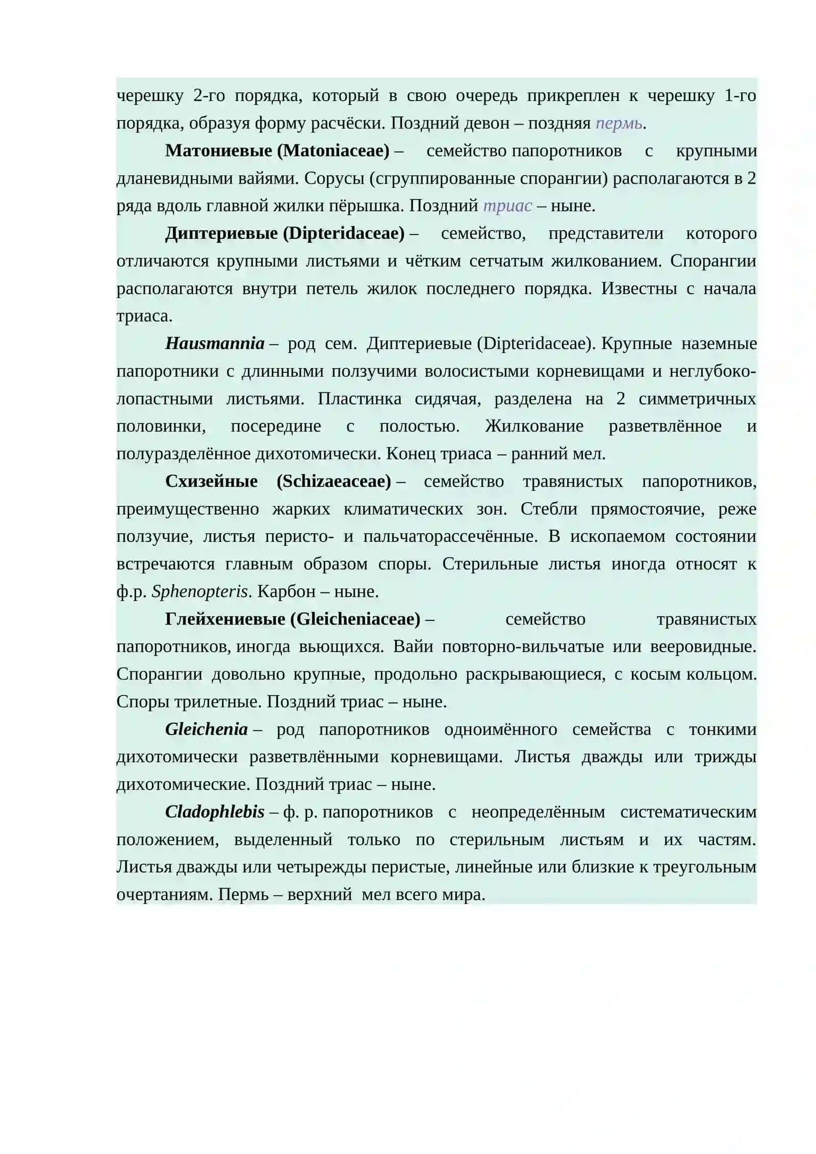 Папоротники ископаемые 2