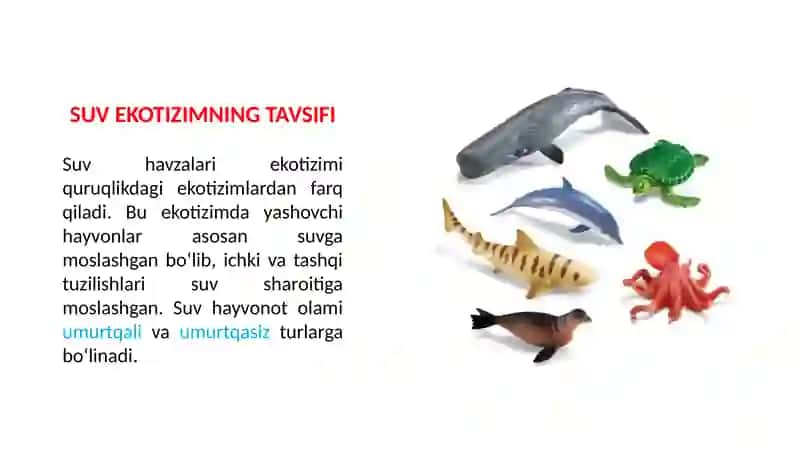 Suv Ekotizimning Tavsifi 2