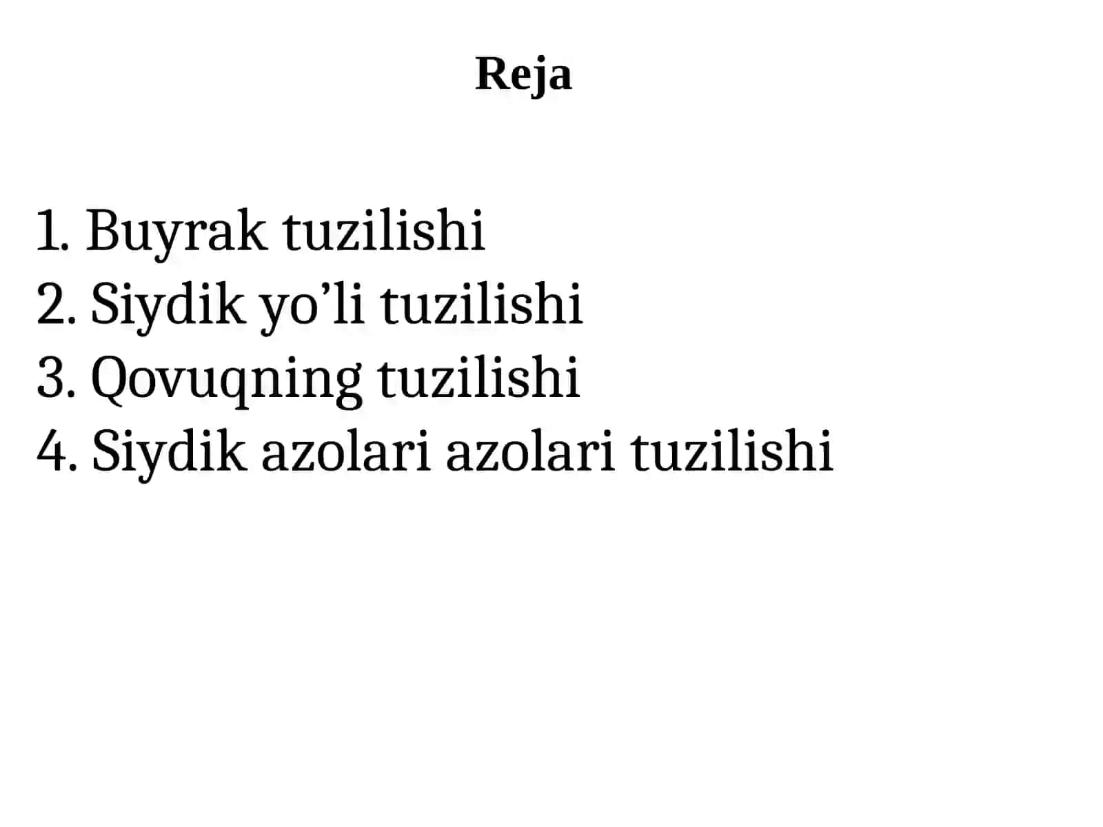 Siydik azolari tuzilishi 2