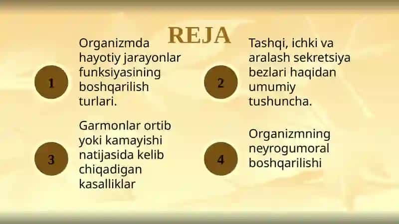 SEKRETSIYABEZLARI 2