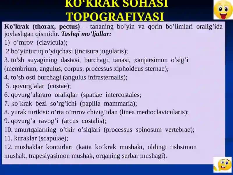 Ko‘krak Sohasi Topografiyasi 2