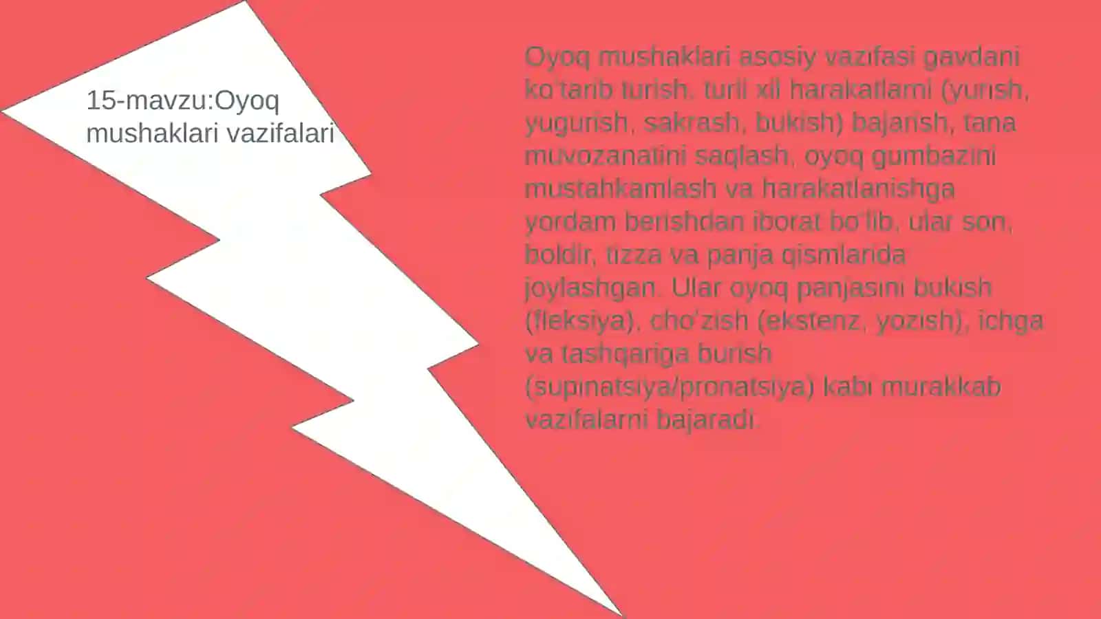 Koʻp Tarmoqli Tibbiyot Texnikumi 2