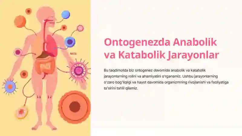 Ontogenezda Anabolik va Katabolik Jarayonlar 2