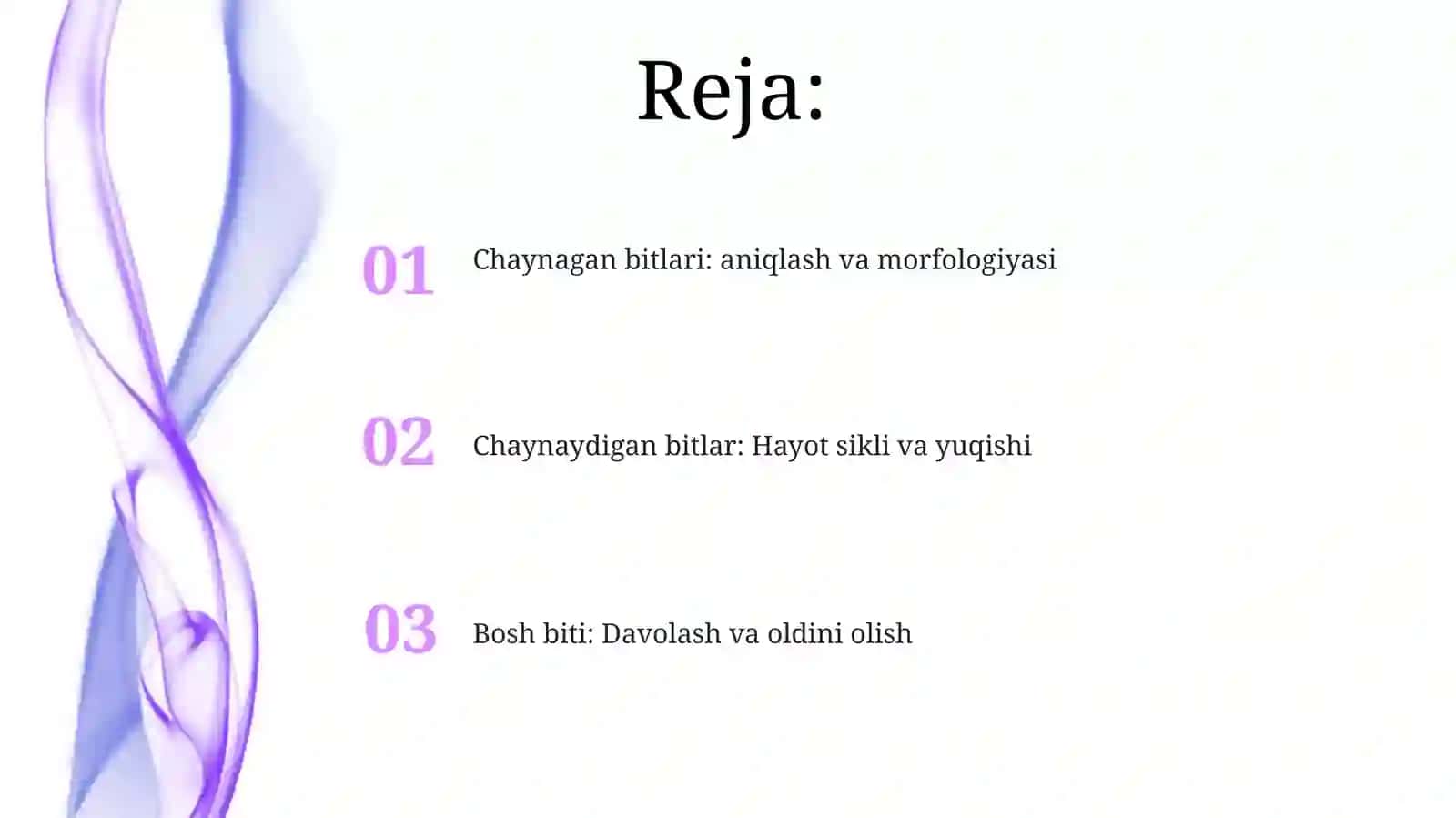 Chaynagan bitlari: aniqlash va morfologiyasi 2
