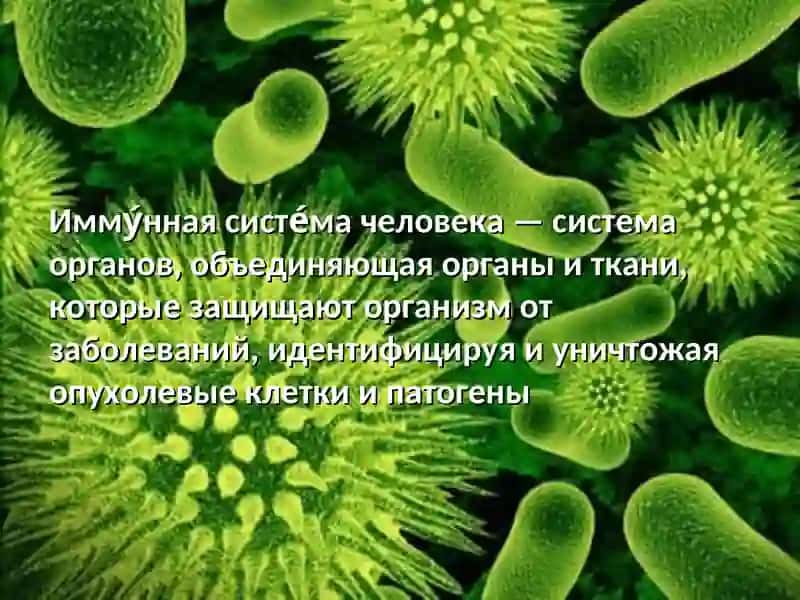Иммунитет человека и его враги 2