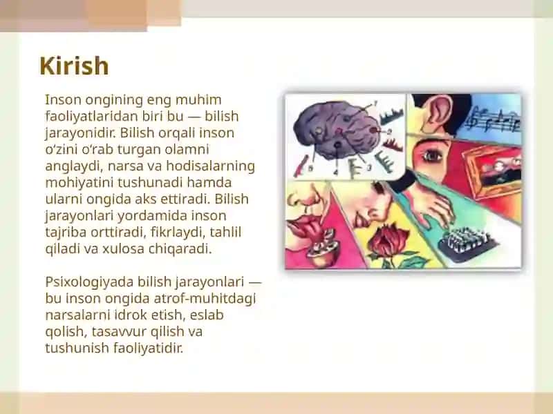 Bilish jarayonlari haqida tushuncha.  Sezgi va Idrok 2