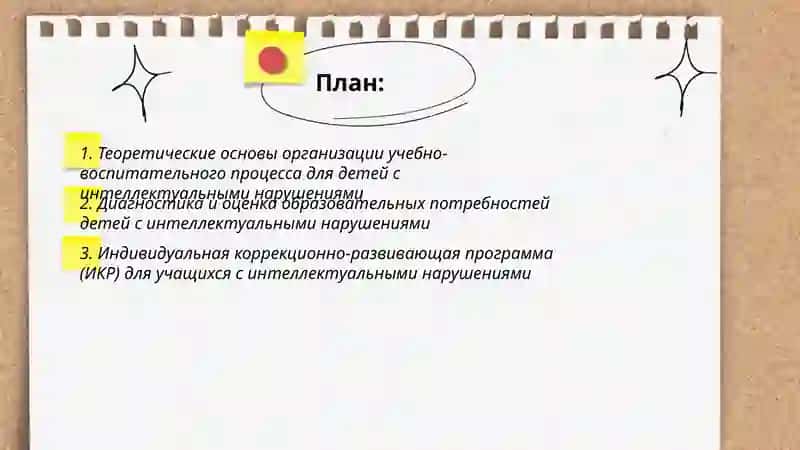 Организация учебно-воспитательного процесса для детей с интеллектуальными нарушениями 2