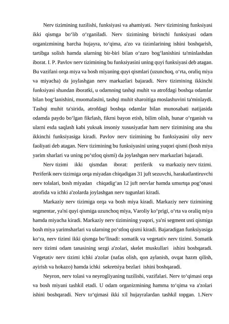 Orqa miyaning tuzilishi 2