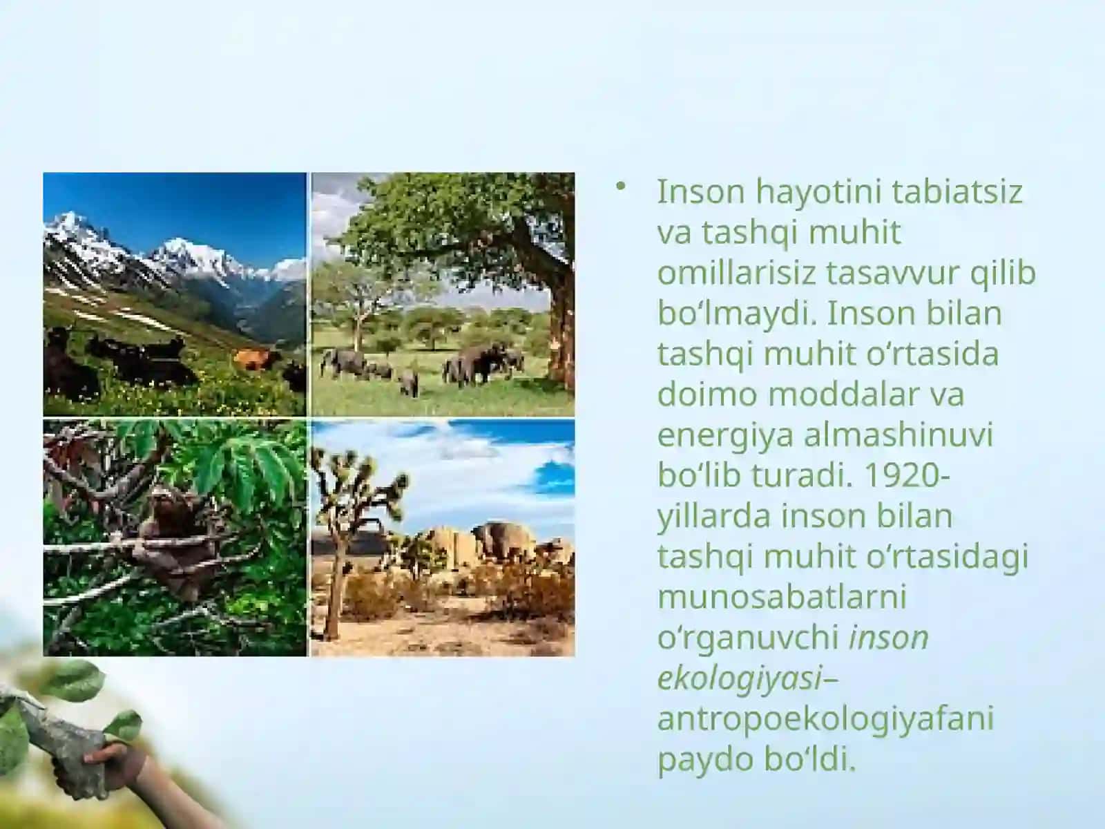 Inson  ekologiyasi 2