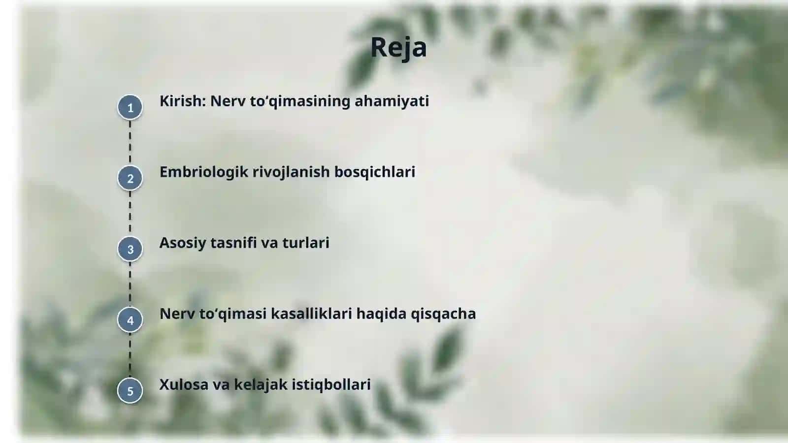 Nerv toʻqimasining taraqqiyoti va tasnifi 2