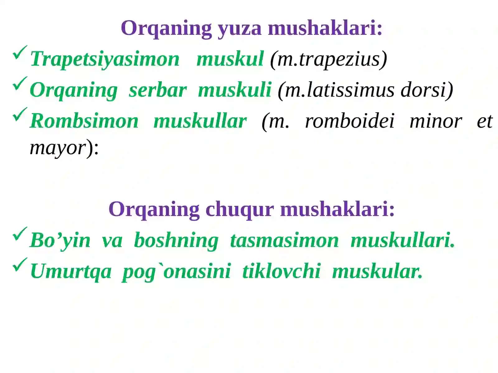 Miologiya.Gavda muskullari.Tananingorqamushaklari 2