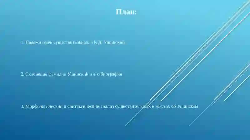 Склонение имен существительных 2