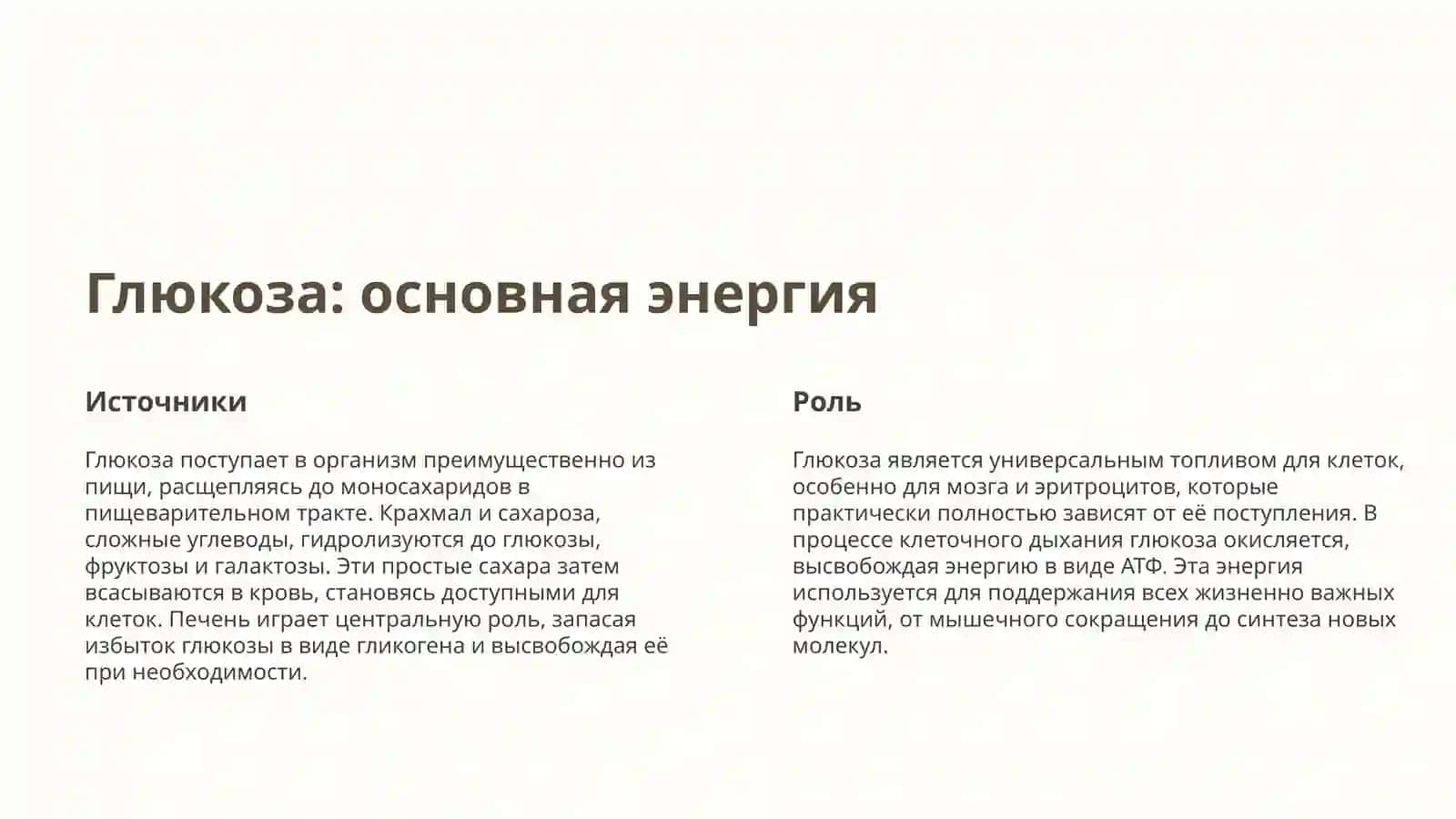 Обмен углеводов: Введение 2