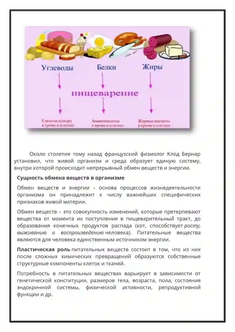 Сущность обмена веществ в организме 2