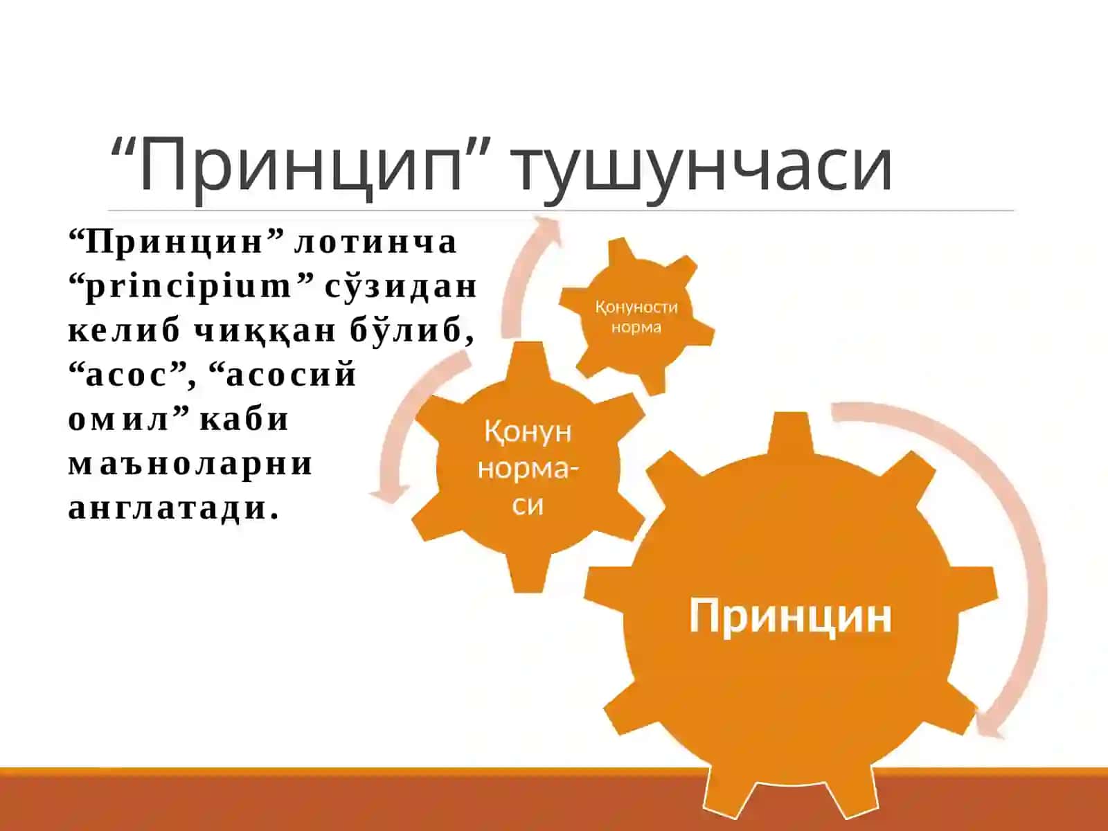 Жиноят процессининг принциплари 2