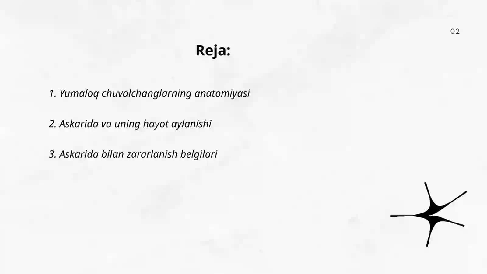 Yumaloq chuvalchanglar anatomiyasi 2