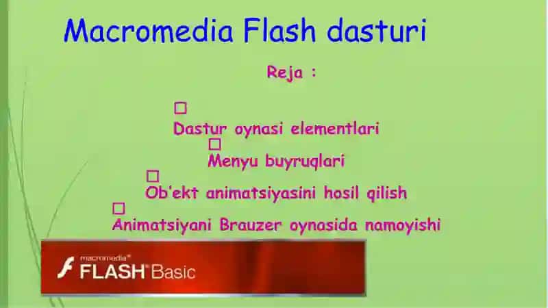 MIKROMEDIA FLESH DASTURI VA 2