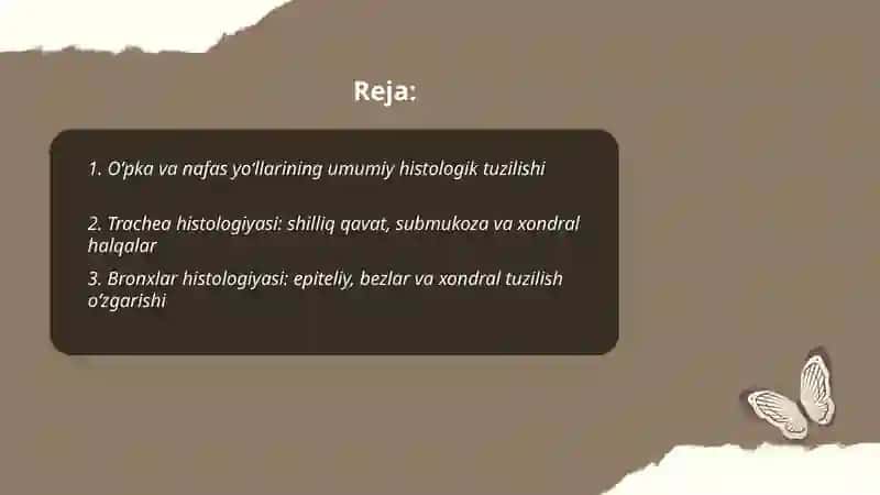 Oʻpka va nafas yoʻllarining gistologiyasi 2