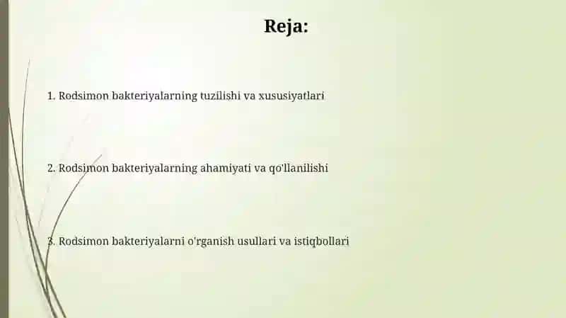 Rodsimon bakteriyalar Tuzilish va Xususiyatlari 2