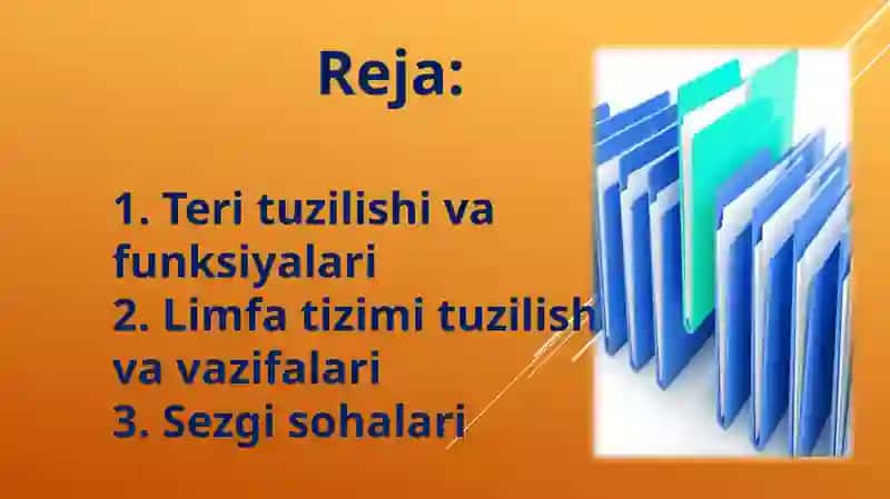 Teri va limfa tizimini baholash 2