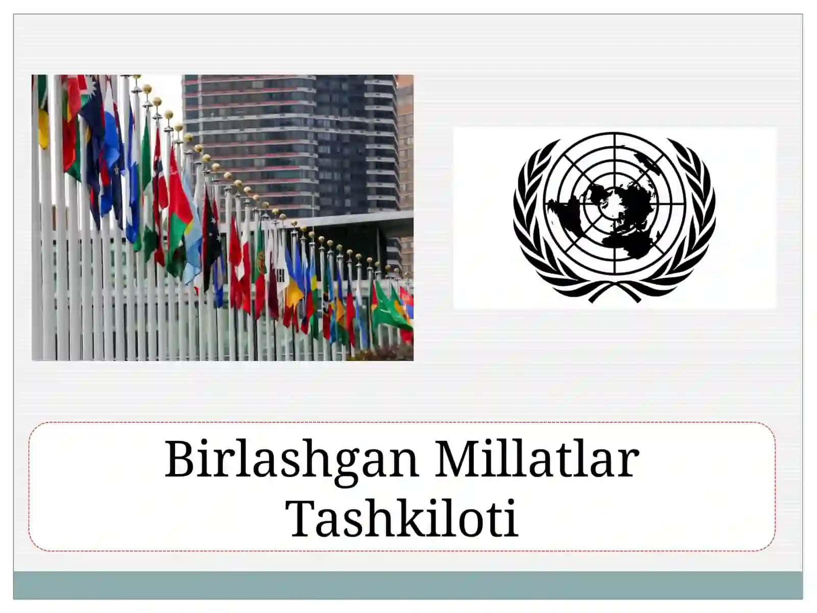 Birlashgan Millatlar Tashkiloti 2
