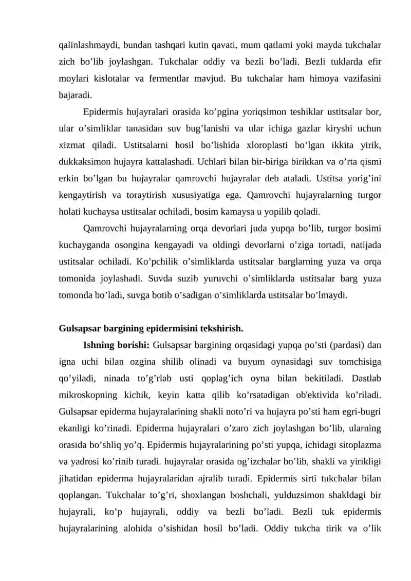 Qoplovchi to’qimalar (Epiderma, Periderma, Po’stloq) 2