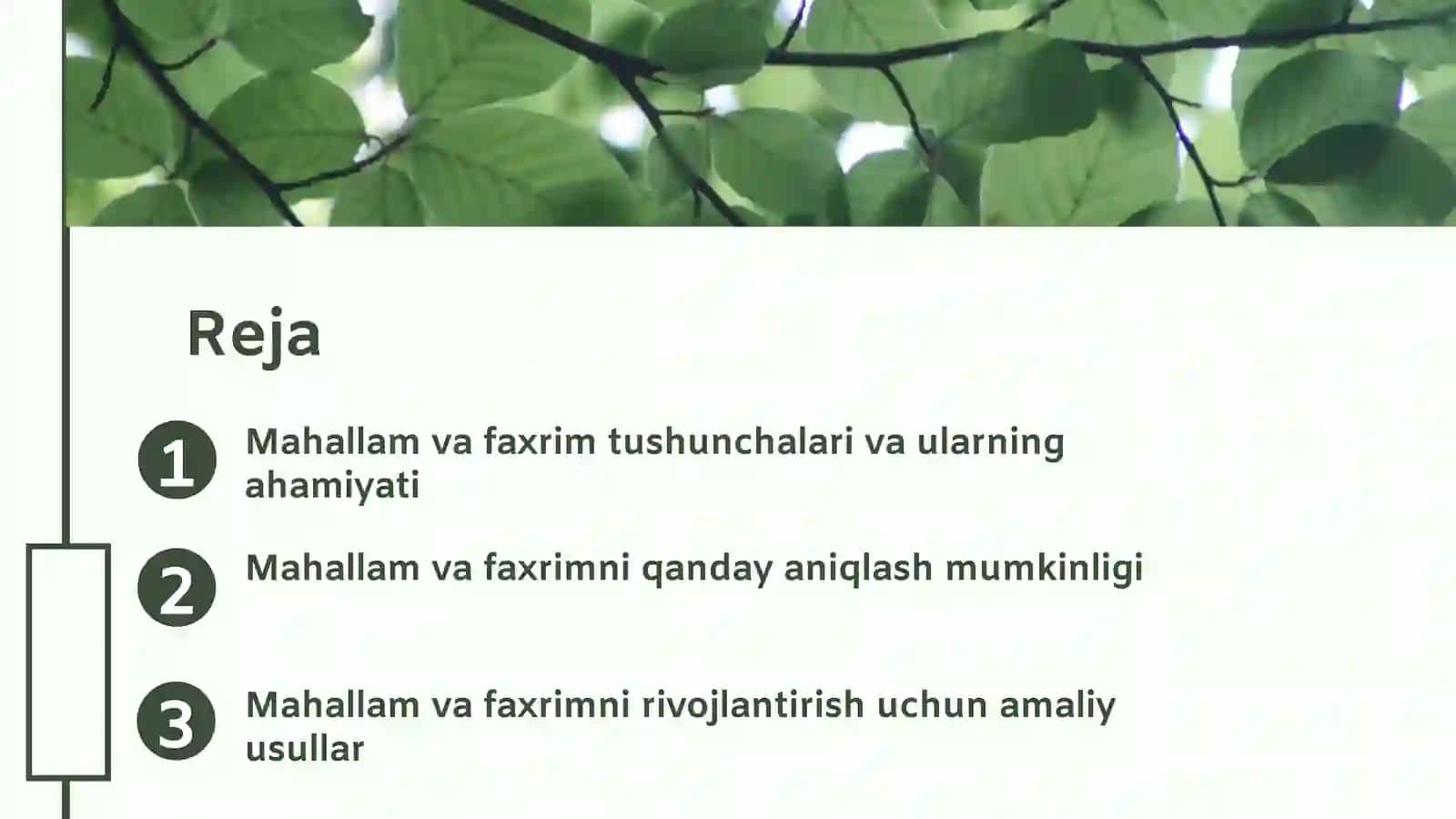 Mening mahallam mening faxrim 2