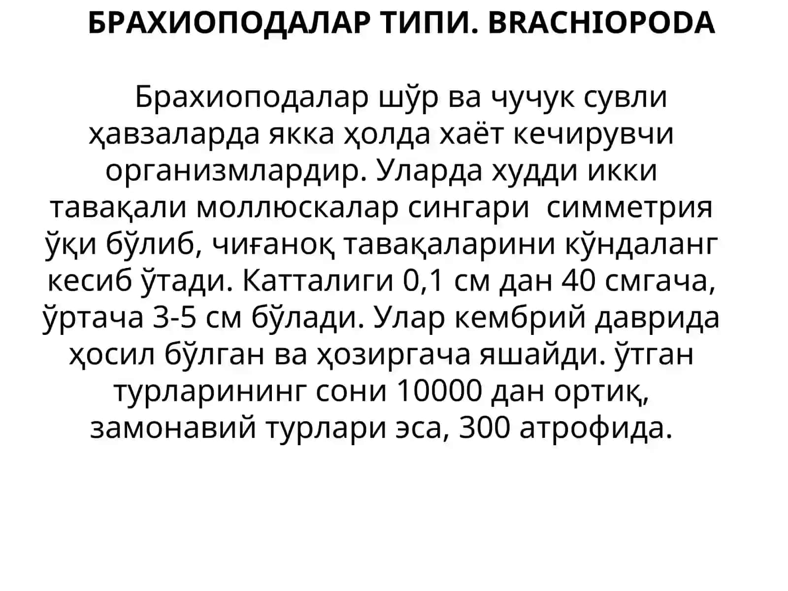 БРАХИОПОДАЛАР ТИПИ.BRACHIOPODA 2
