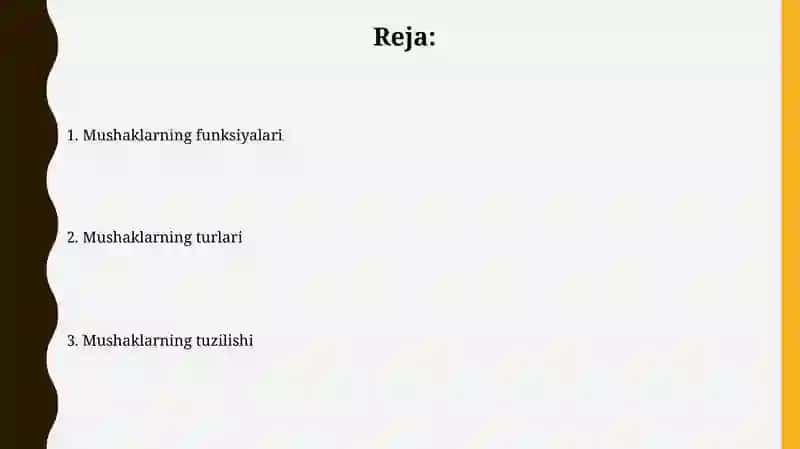 Muskullar haqida umumiy tushuncha 2