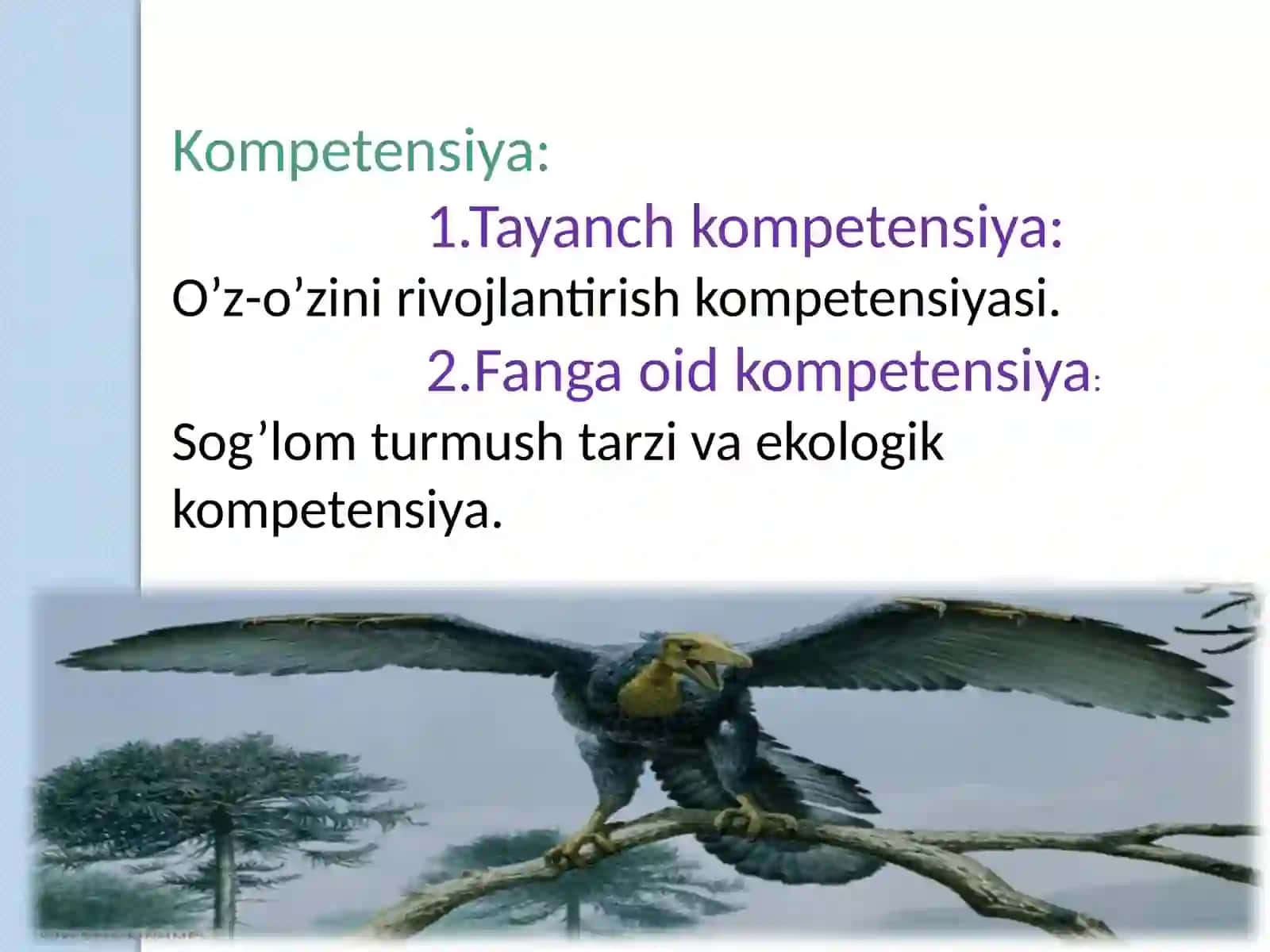 Qushlarningichkituzilishivasezgiorganlari 2