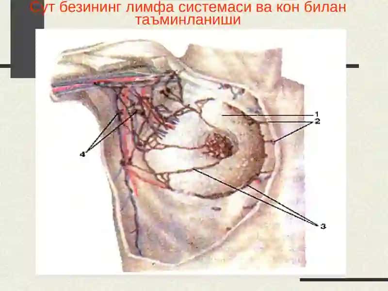 Сутбези 2
