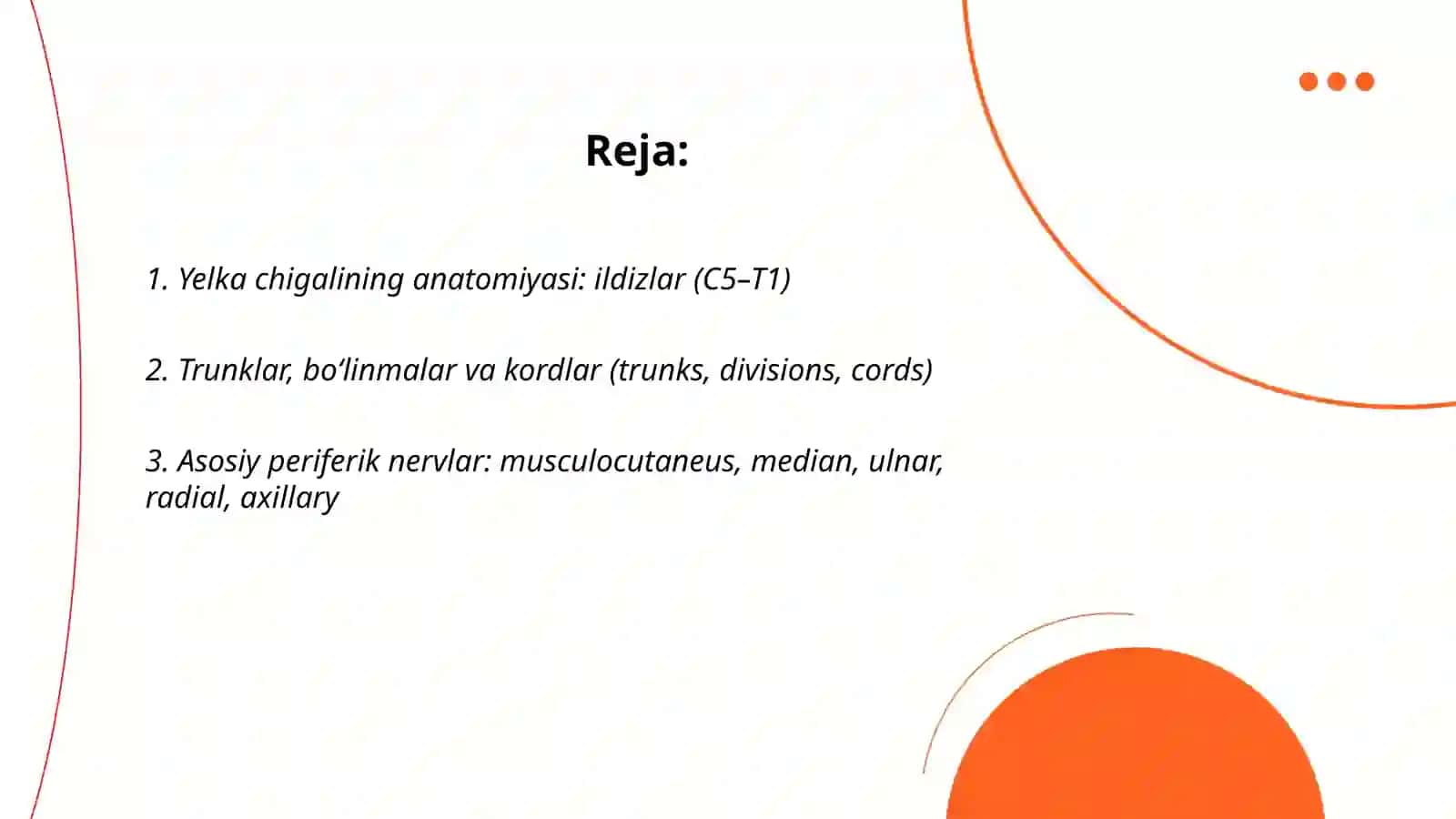 Yelka chigali (plexus brachialis) 2