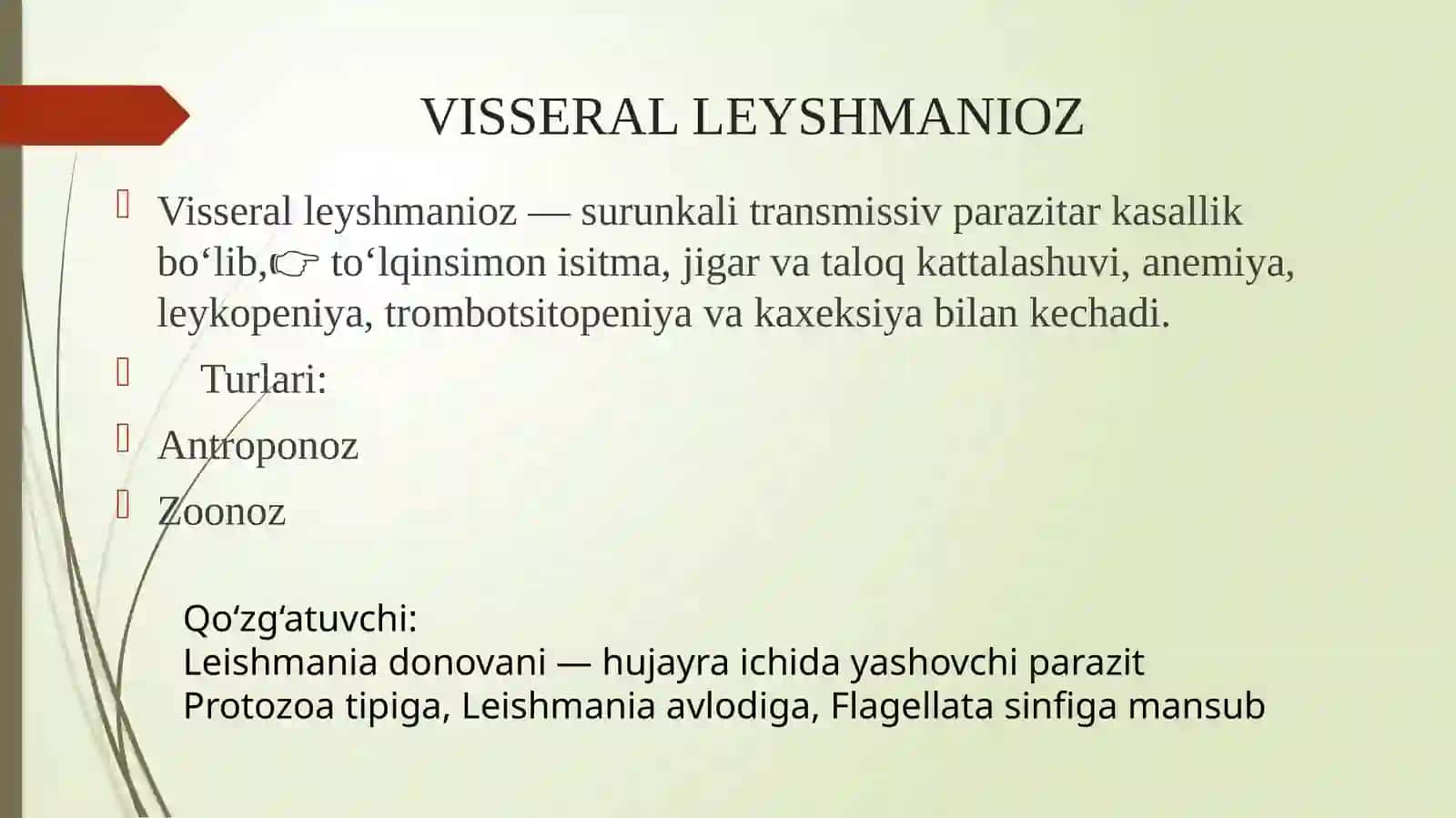 VISSERAL LEYSHMANIOZ 2